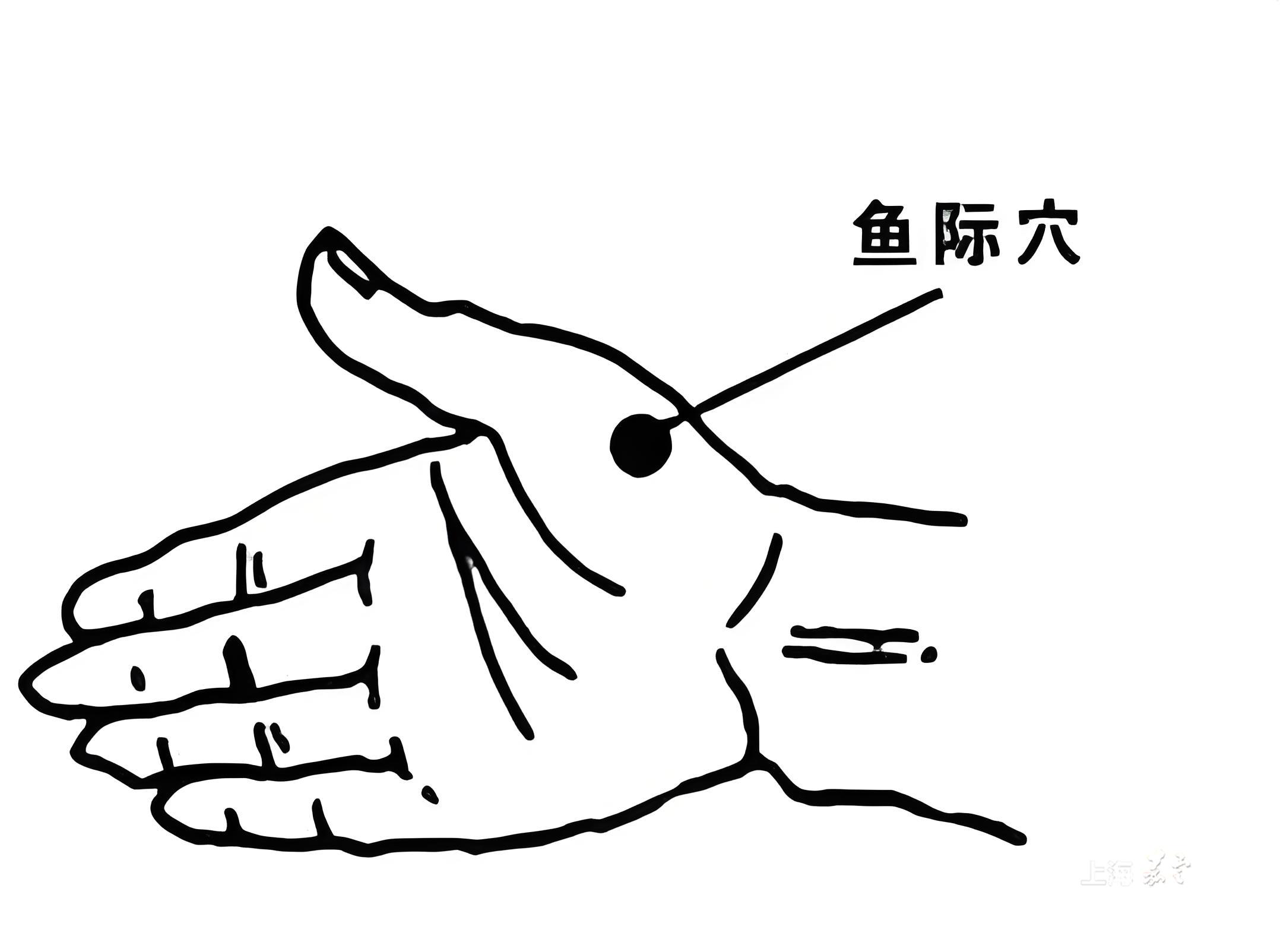 556026a14da945a8aae27705f6acb287.jpg 556026a14da945a8aae27705f6acb287.jpg