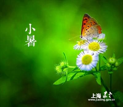 70329bf4957d4905850f9be08785623f.jpg