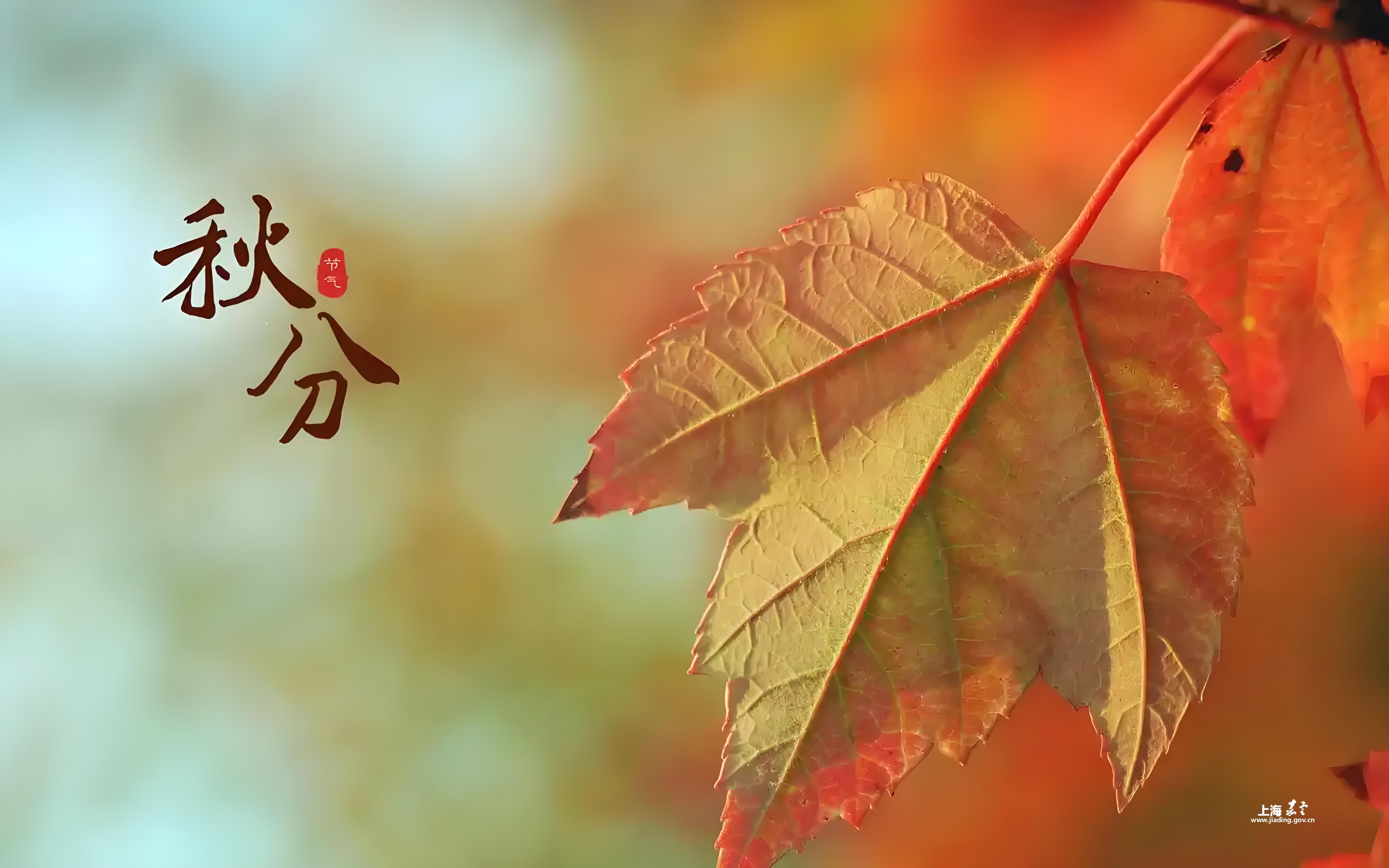 bdc74b72b5bc43b7ad589984d3960451.jpg bdc74b72b5bc43b7ad589984d3960451.jpg