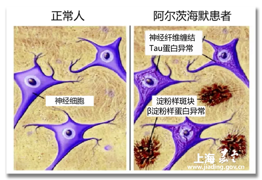 f79f2a26fa824226911d449259c28fd6.png f79f2a26fa824226911d449259c28fd6.png